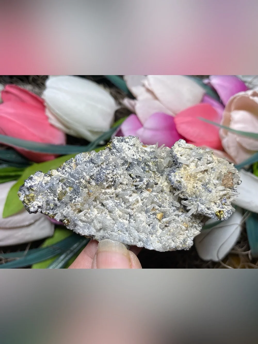 Skeletal Quartz & Pyrite